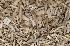 biomass boilers Tarlscough